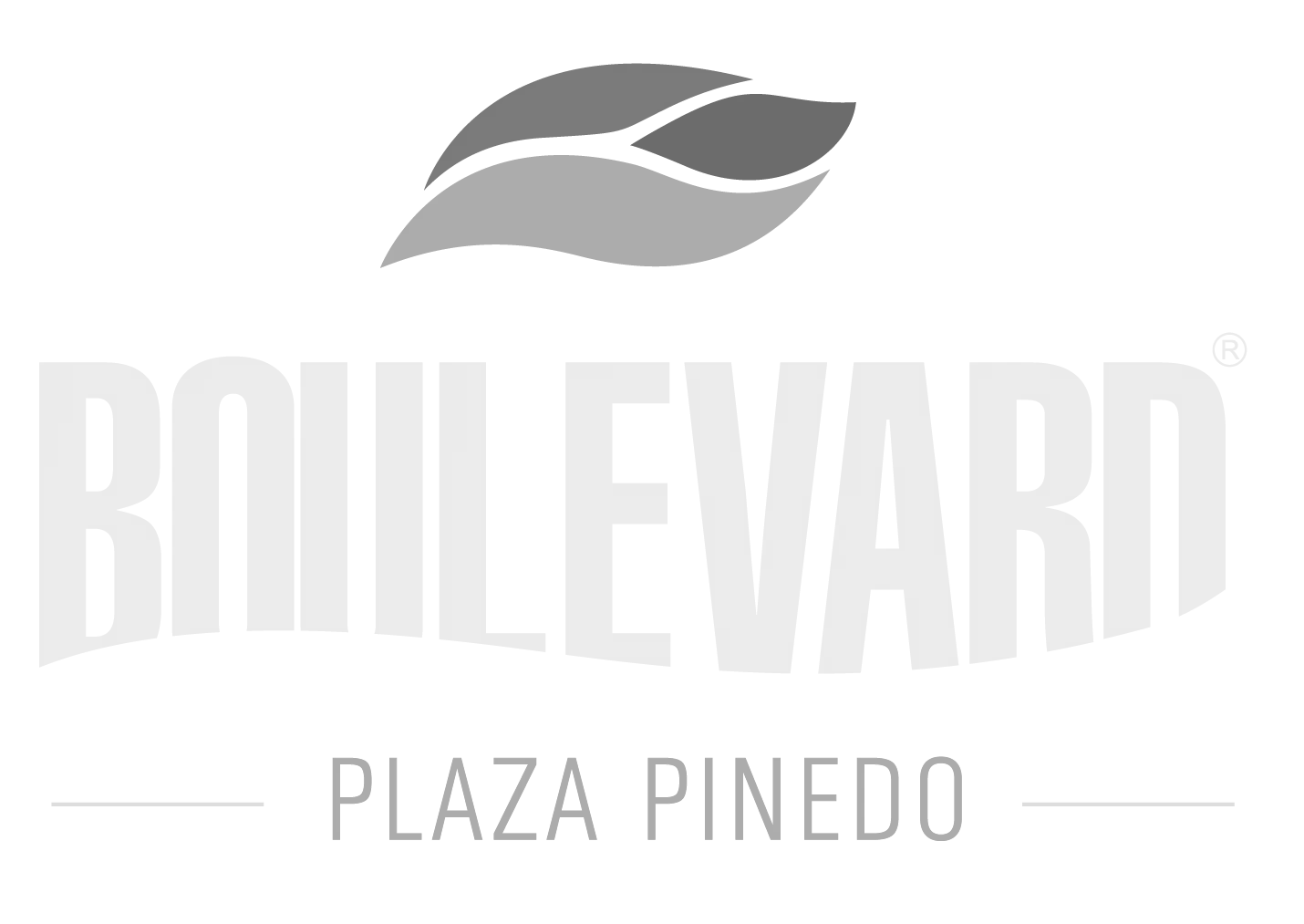 Boulevard Plaza Pinedo