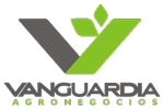 Vanguardia